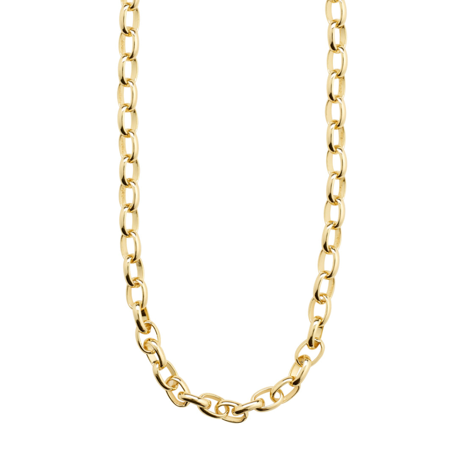 Chaine CHARM - 402432041 - Pilgrim