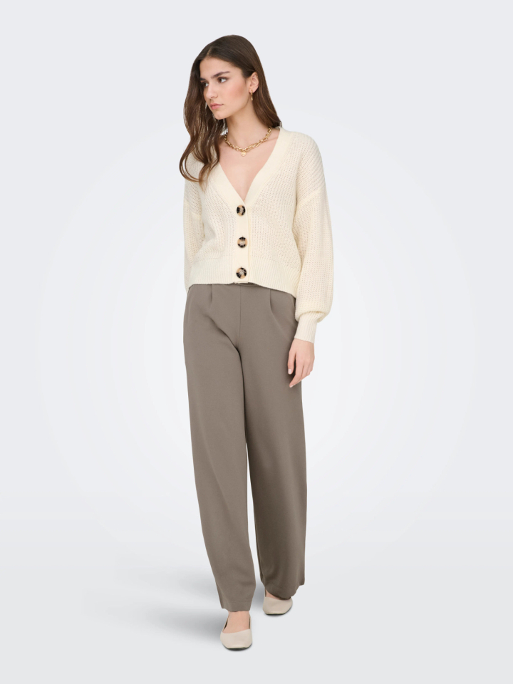 Pantalon GEGGO - JDY15208430taupe - JDY